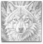  PontPöttyöző - Farkas rózsaszín árnyalatokban Méret: 50x50cm, Keretezés: Kartonlemezen, Szín: Piros