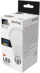 Entac LED Globe E27 15W CW 6400K (LLG27-8W-CW) - alphadenthigienia