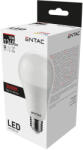 Entac LED Globe E27 15W WW 3000K (LLG27-15W-WW) - alphadenthigienia