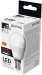 Entac LED Mini Globe E14 4W WW 3000K (LLMG14-4W-WW) - alphadenthigienia