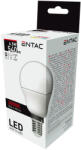 Entac LED Mini Globe E14 6, 5W WW 3000K (LLMG14-6-5W-WW)
