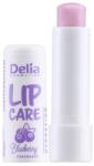 Delia Cosmetics Balsam de Buze Delia, Afine, 4.9 g (DEM000772)