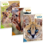Ars Una A4 extra kapcsos füzet, sima Icons of the Wild (5492) 25 (53804921)