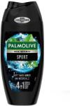 Palmolive Gel de dus 250 ml Men Sport