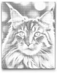  PontPöttyöző - Maine Coon macska Méret: 30x40cm, Keretezés: Kartonlemezen, Szín: Fekete