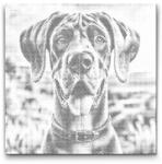  PontPöttyöző - Dán dog Méret: 50x50cm, Keretezés: Kerek keret, Szín: Fekete