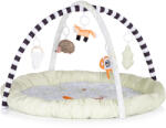 Chipolino Активна гимнастика Chipolino - Лисиче (PGB02502FOX)
