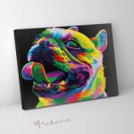 Makana Szivárvány bulldog - Számfestő készlet, kerettel (30x40 cm)