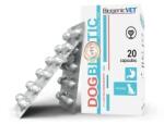 BiogenicVet Dogbiotic 20x - premiumeledel