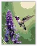 Kolibri a Levendulánál - számfestő készlet