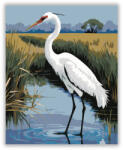  Fehér Daru a Mocsárban - számfestő készlet