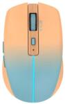 INCA IWM-511RT Mouse