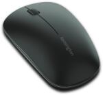 Kensington K75304WW Mouse
