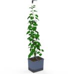 Gusta Garden CURT CUCUMBER önöntözős, kék (GG-144C10)