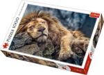 Trefl Puzzle Trefl 1000 piese, Leu Dormind Puzzle