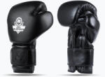 Dbx Bushido Mănuși de box DBX BUSHIDO "ProFight" negru