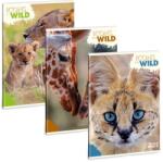 Ars Una Máté Bence Icons of the Wild A/4 extra kapcsos füzet-négyzethálós (53124920) - hunrods