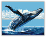 Számfestő Felszínre Emelkedő Bálna - számfestő készlet (crea6182)
