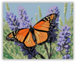  Monarch Pillangó Levendulán - számfestő készlet