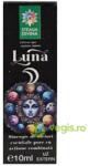 Steaua Divina Luna Sinergie de Uleiuri Esentiale 10ml