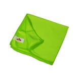 Casa Plastor Set 10 lavete microfibra, pentru sticla, 30x30 cm (43557-10)