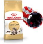 Royal Canin Maine Coon Adult 4kg hrană uscată pentru pisici adulte Maine Coon + Tunel pentru pisici GRATUIT!