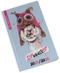 Realsystem Carte de buzunar pentru elevi, săptămânal, anul școlar 2025/2026, REALSYSTEM, lama (TA25-5313-63)