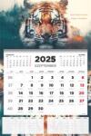 KALENDART Calendar, perete, elev, anul școlar 2025/2026, TOPTIMER, "Tiger (26D7620-000)