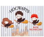 Beniamin Harry Potter műszaki rajzlap tömb - A4 fehér 10 lapos - HOGWARTS (IMO-BEN-111336KEK-CSIKOS)
