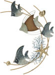 Mauro Ferretti Fali vas panel dory 61x5x86cm (0325870000)