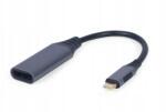 Gembird A-USB3C-DPF-01