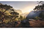 Komar Fototapet vlies Komar SHX9-101 Yosemites Secret 450x280 cm (SHX9-101)