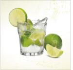 Pure Living Tablou sticlă Pure Living Caipirinha 20x20 cm (GLA698D)