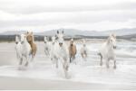 Komar Fototapet hârtie Komar White Horses 254x368 cm (8-986)