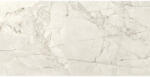 Cersanit Gresie exterior / interior porțelanată rectificată Silver Root gri 59, 8x119, 8 cm (TGGR1022228256)