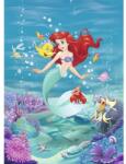 Komar Fototapet hârtie Komar 4-4020 Disney Edition 4 Ariel Singing 184x254 cm (Apr 20)