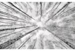 Komar Fototapet vlies Komar SHX9-093 White-Blue 450x280 cm (SHX9-093)