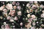 Komar Fototapet vlies Komar P6035A-VD4 Pure Victoria Black 400x250 cm (P6035A-VD4)