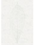 Komar Fototapet vlies Komar R2-012 Decent Leaf 200x280 cm (R2-012)