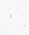 Komar Fototapet vlies 6033B-VD2 Cherry Blossom 200x250 cm (6033B-VD2)