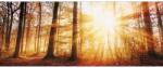 Pure Living Tablou sticlă Pure Living Autumn Lake 50x125 cm (GLA1854O)