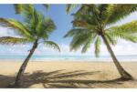 Komar Fototapet vlies Komar SHX9-014 Caribbean Days II 450x280 cm (SHX9-014)