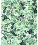 Komar Fototapet vlies Komar P023-VD2 Evergreen 200x250 cm (P023-VD2)