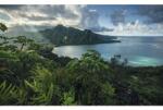 Komar Fototapet vlies Komar SHX9-117 Jurassic Island 450x280 cm (SHX9-117)