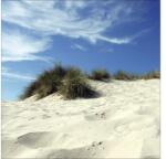 Pure Living Tablou sticlă Pure Living Summer Breeze II 30x30 cm (GLA014A)