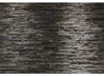 Komar Fototapet hârtie Komar Scoarță de mesteacăn 368x254 cm (8-700)