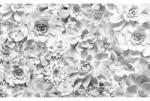 Komar Fototapet vlies Komar P962-VD4 Pure Shades Black and White 400x250 cm (P962-VD4)