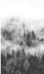 Marburg Fototapet vlies Marburg Smart Art Easy 47268 pădure antracit/gri 159x270 cm (47268)