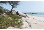 Komar Fototapet vlies Komar SHX9-056 Mediterranean Dreams 450x280 cm (SHX9-056)
