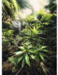 Komar Fototapet vlies Komar Spirit 260x200 cm (X4-527)